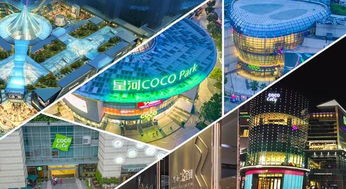 集團商業綜合體管理服務升級，以精細化運營引領城市商業新生態